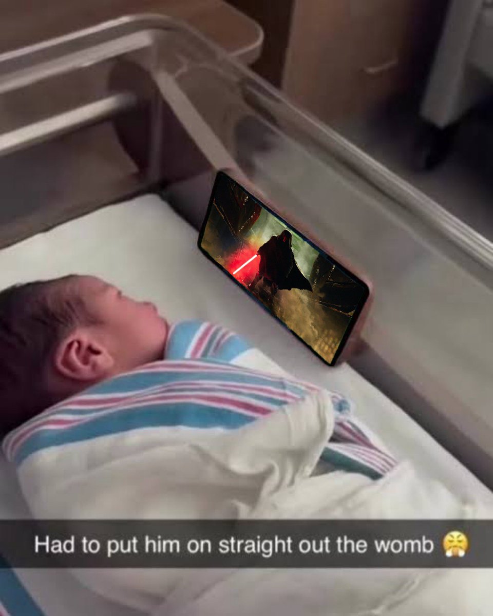 kat 🎉 CAT DAY 🎉 tweet media