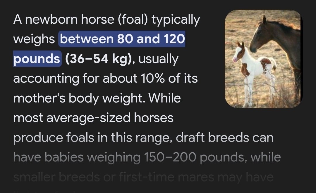 Dean Winchester of edtwt tweet media