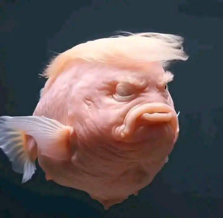 ABDULRAB Alsayadi tweet media