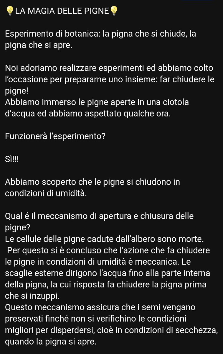 Sabatino... (per gli amici) tweet media