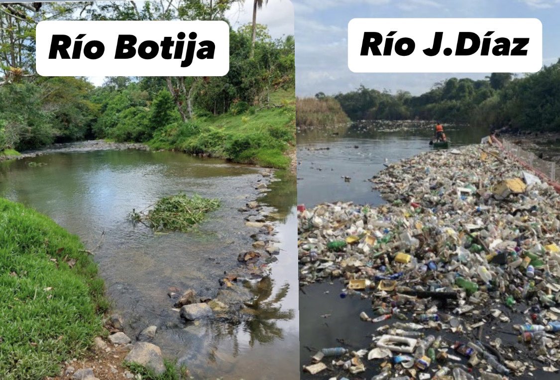 KevinDavidPty tweet media