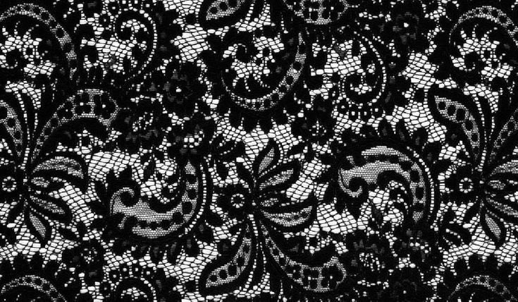 Lily ✮⋆˙ tweet media