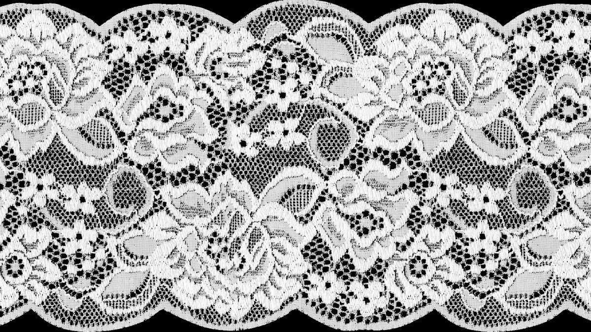 Lily ✮⋆˙ tweet media