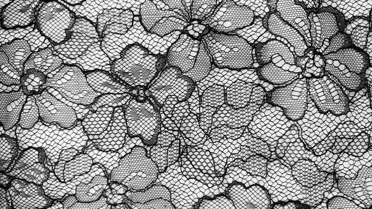 Lily ✮⋆˙ tweet media