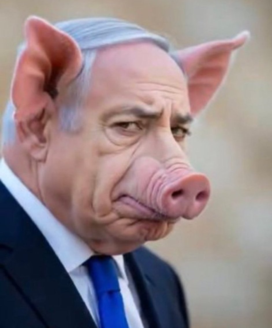 mehmetsah_sumer's tweet photo. @OrwellTruth1984 @netanyahu Fuck netanyahu https://t.co/afGJ1Teua8
