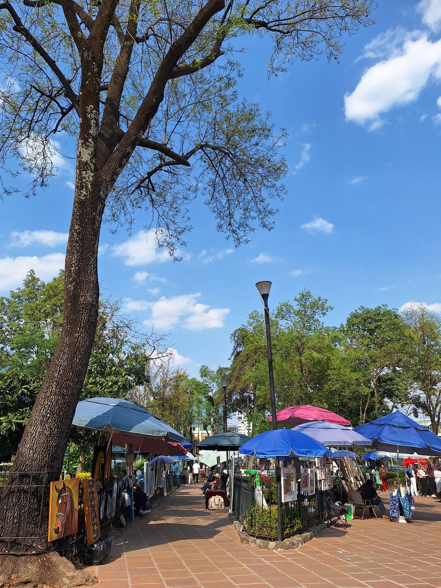 El sur tiene un ritmo distinto, más lento que se disfruta a cada paso. ¡Feliz Domingo! 🌳⛪️🙏🏻🍧 // (ra) 

#CDMX