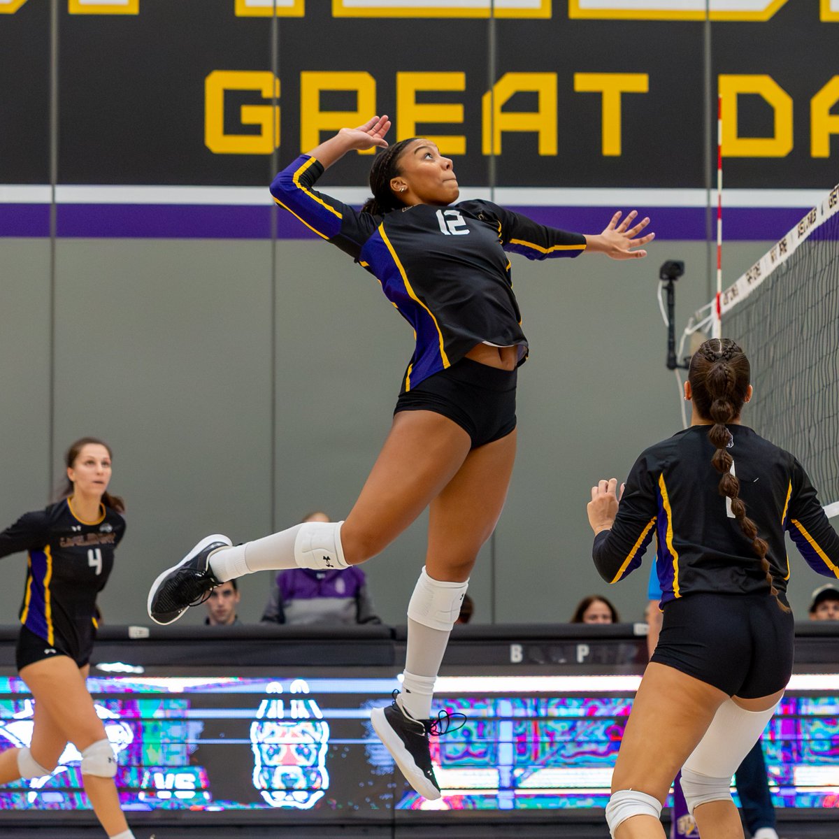UAlbany Volleyball tweet media