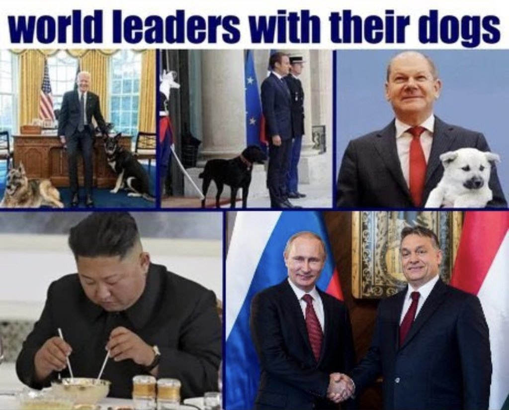 DeltaMike 🇺🇦 +🇬🇪 =🇪🇺 tweet media