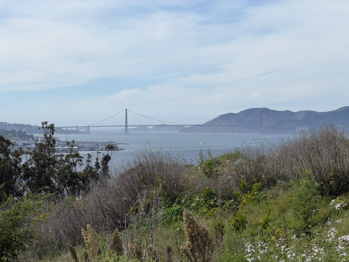 Milo Smith tweet media