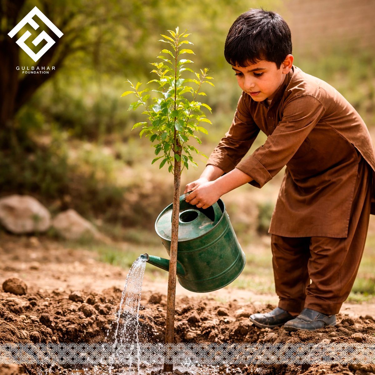 Gfoundation007's tweet image. غرس نهال صدقه جاریه است.

#gulbaharfoundation
#seedling