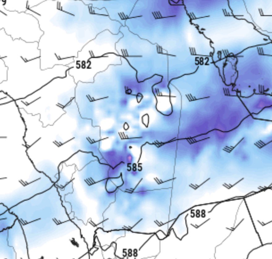 راعــد tweet media
