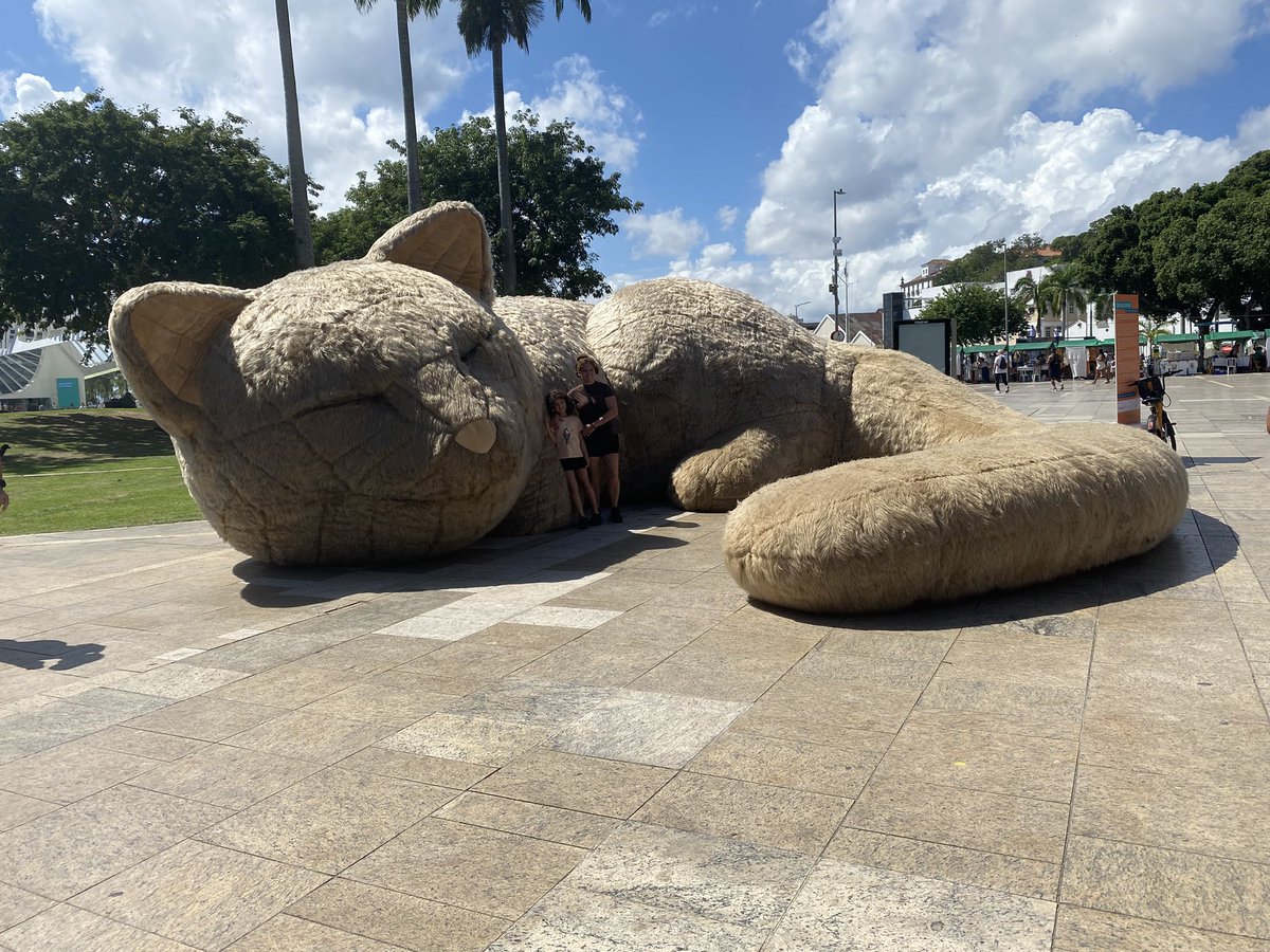 Nana ⋆♱ tweet media