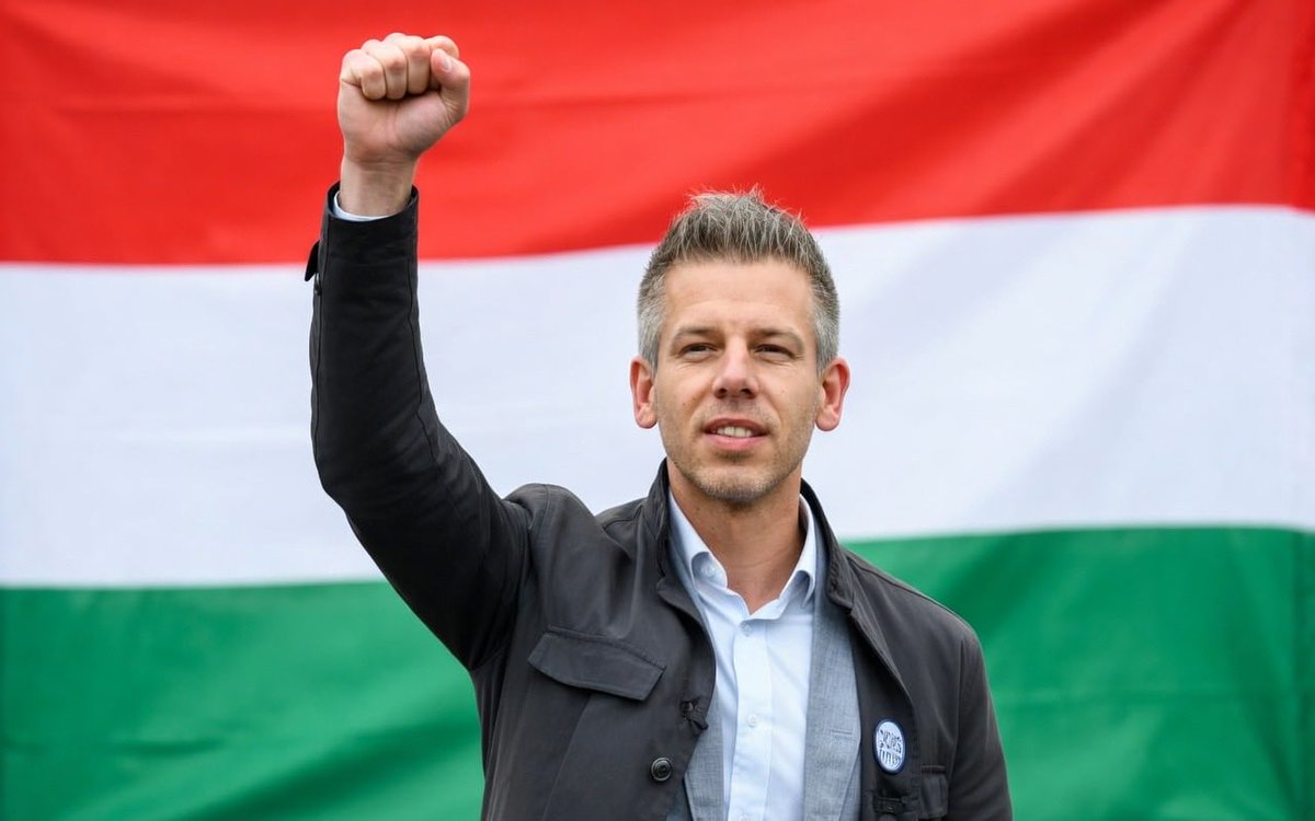 Wolf 🐺 tweet media