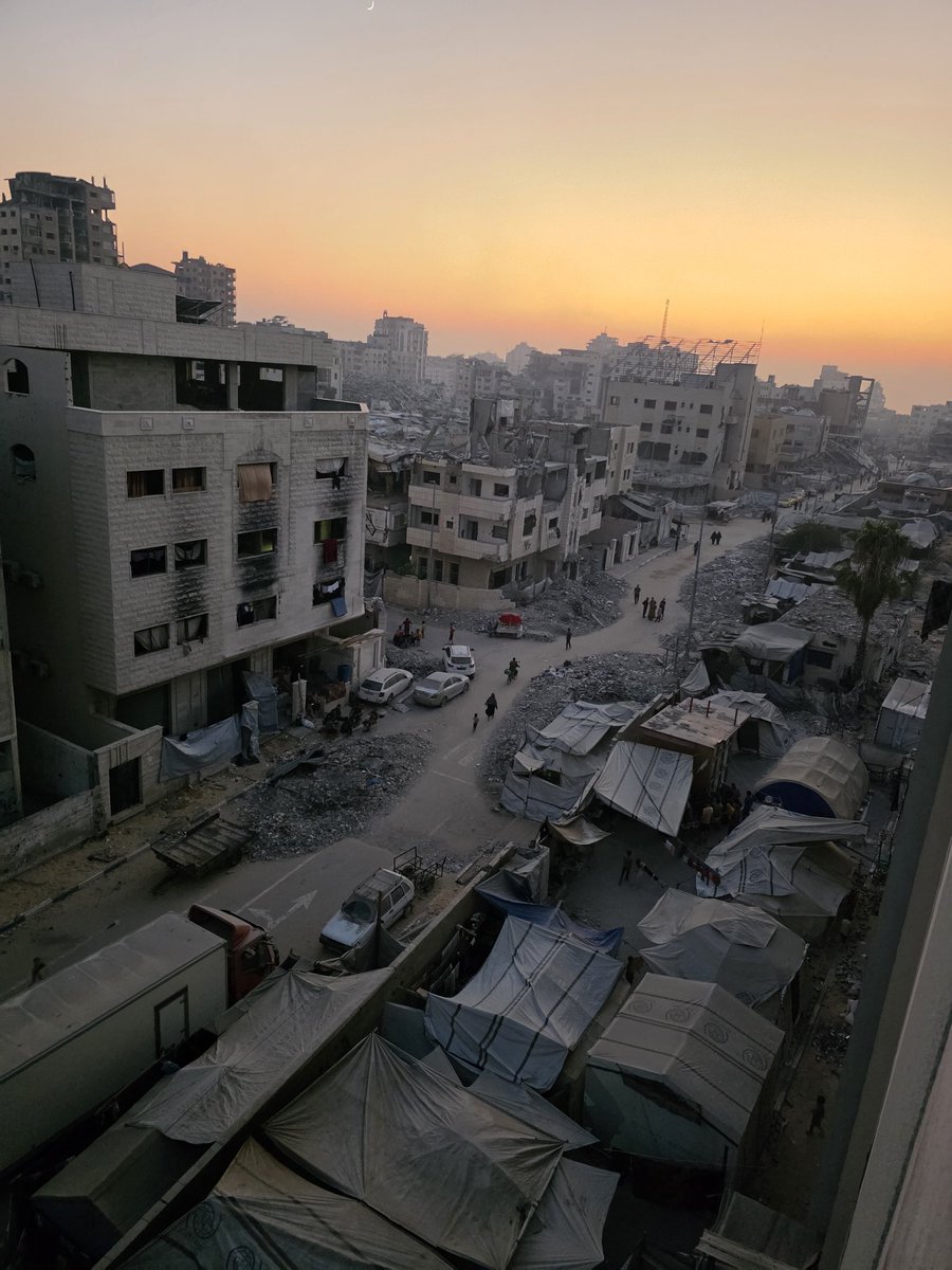 Mahmoud Massri | مَحْمُود 🇵🇸 tweet media