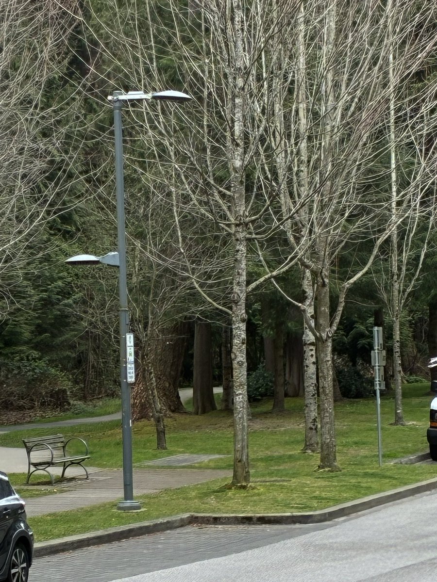 Canada Mama tweet media