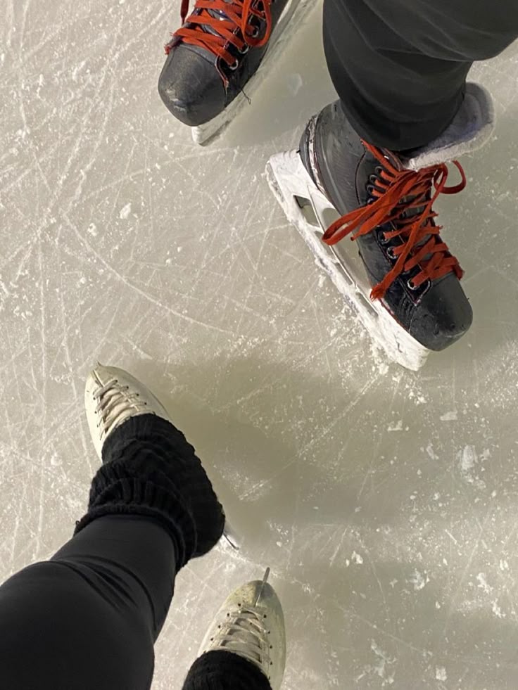 HRH Elisabeth van Nassau tweet media