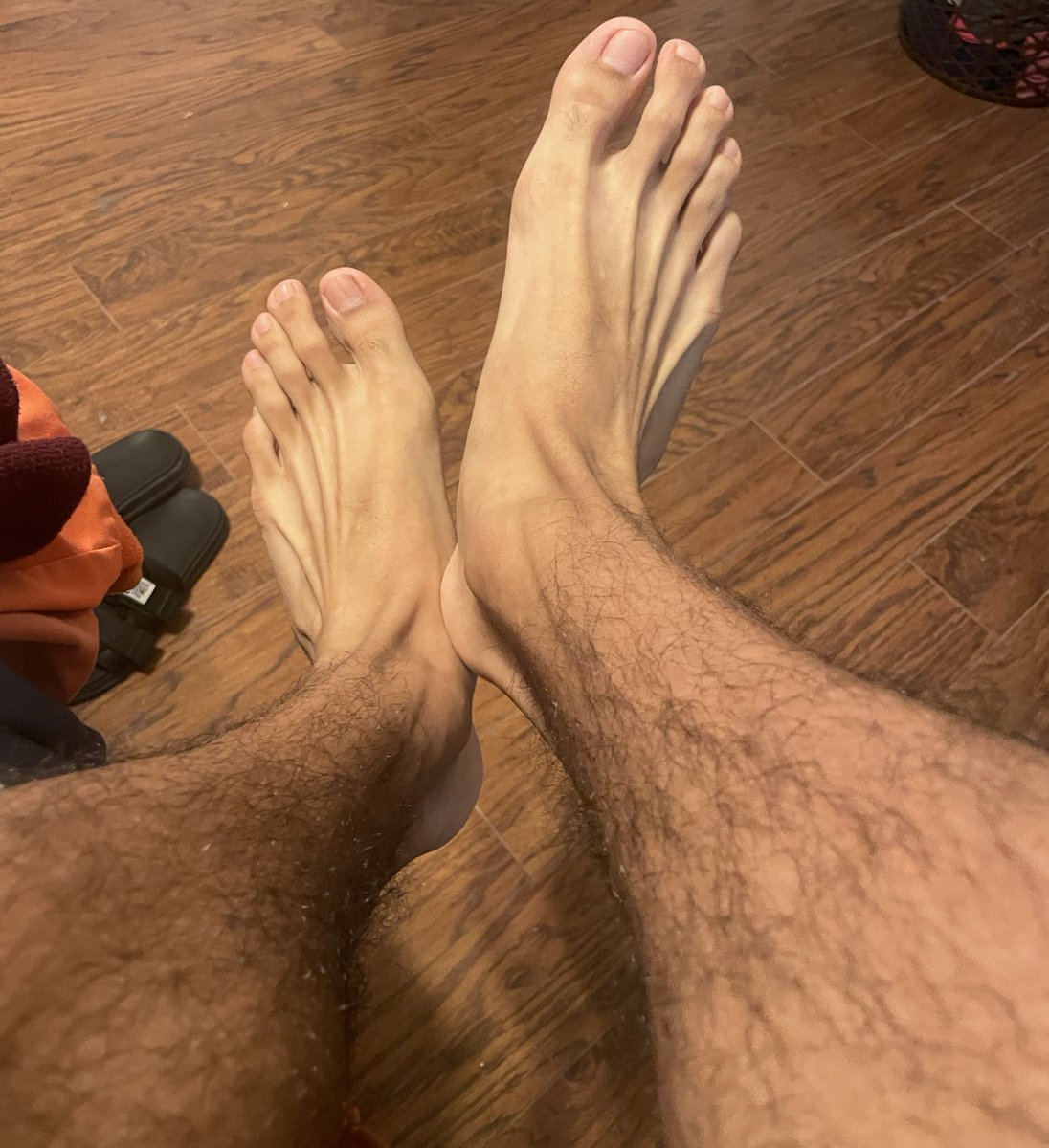 FrenchGuy 🐶🎧 tweet media