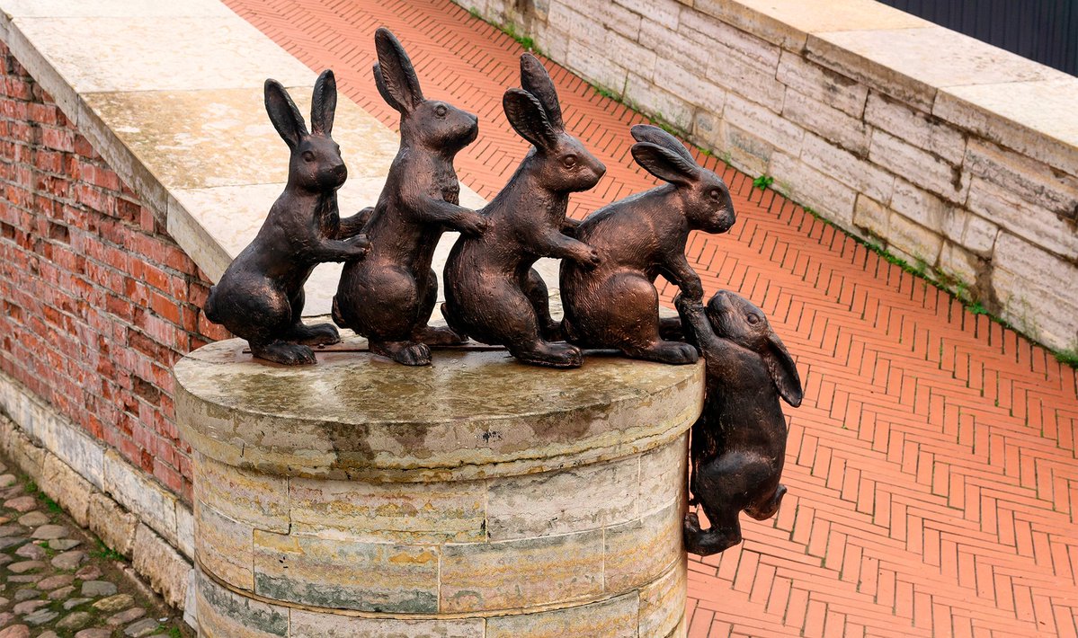 fire_whiskey tweet media