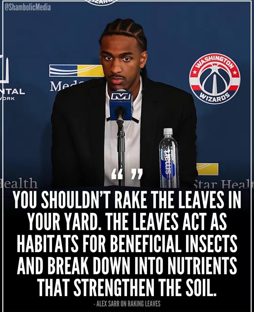 Alex🪂 tweet media