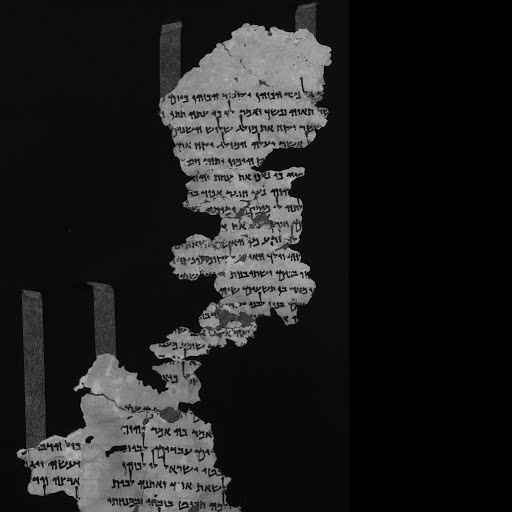 Ransom Bartholomew tweet media