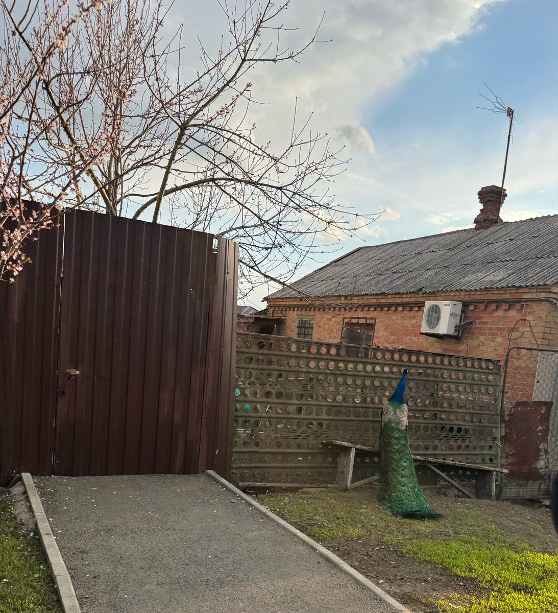 🧟‍♀️KIKIмора🧟‍♀️ tweet media