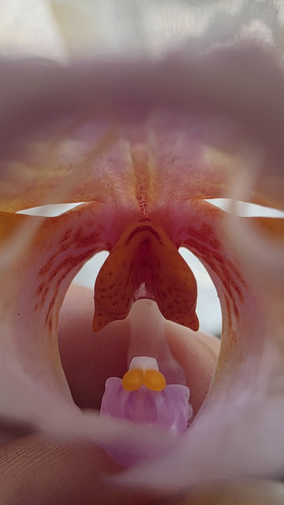 Shei 🦋 tweet media