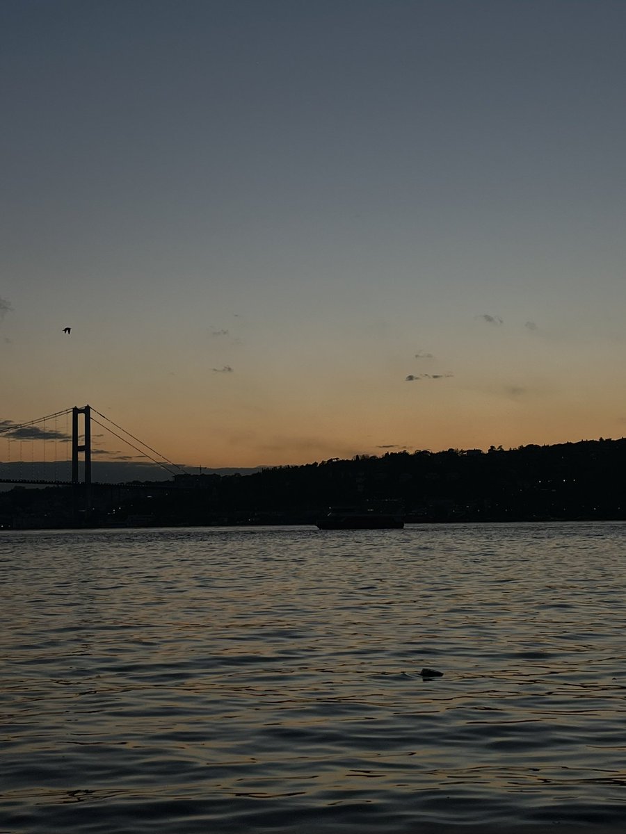 sen simdi görürsün tweet media