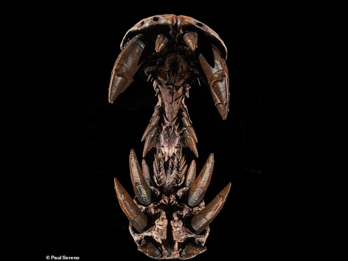 Mr Pål Christiansen tweet media