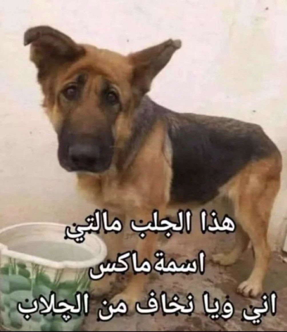 a MONK called BEAST tweet media