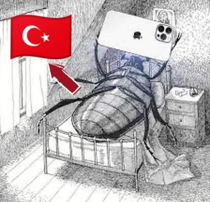 ɢʏʀᴏ tweet media