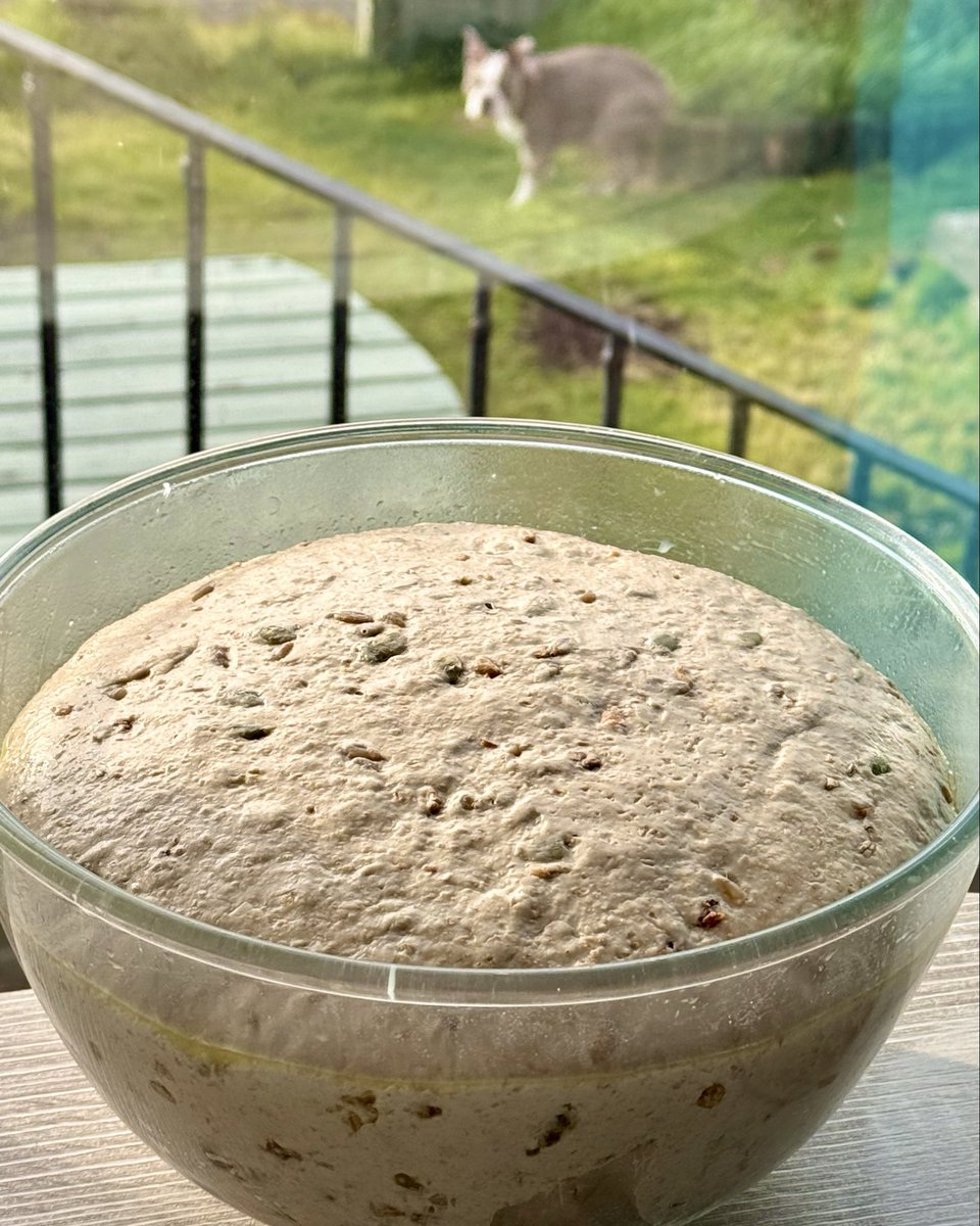 breaditorial tweet media