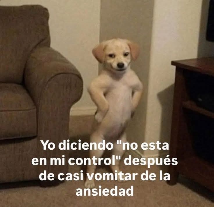 Animalitos en aprietos. tweet media