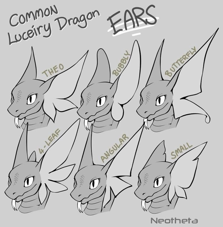 The richest guy tweet media