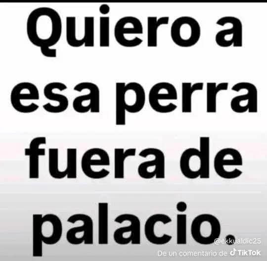 M Vargas tweet media