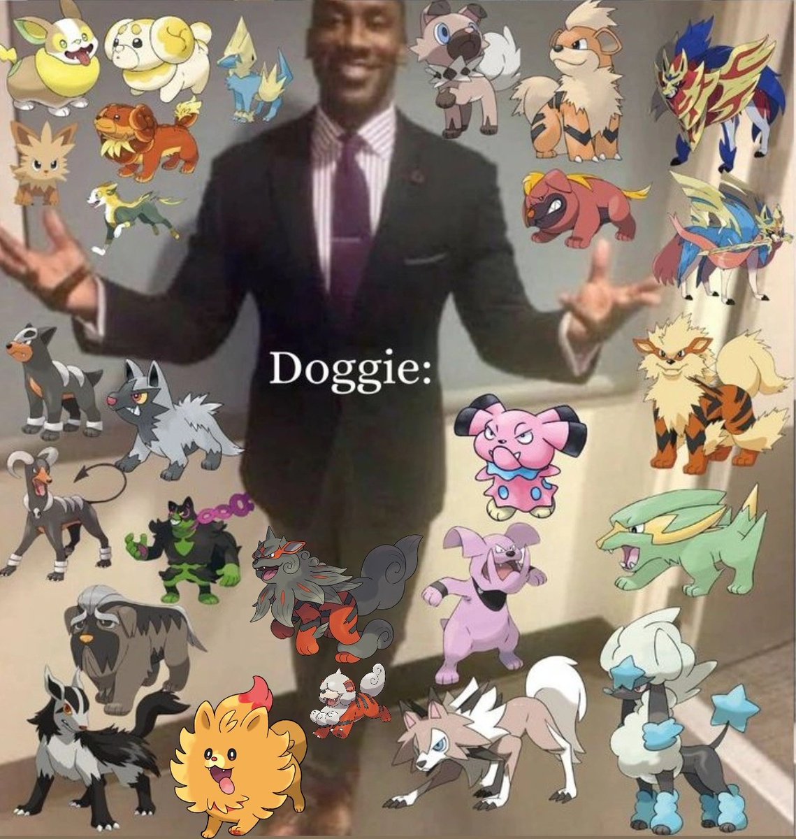 Pokémon Daily Post💫 tweet media