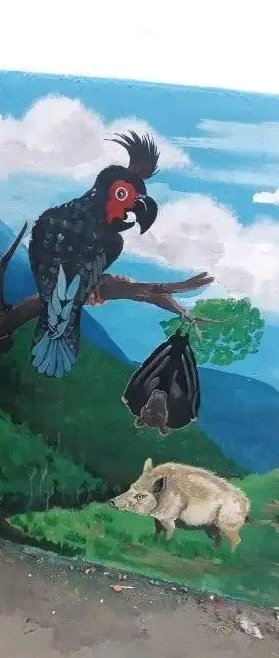 Chris Waine Jnr tweet media