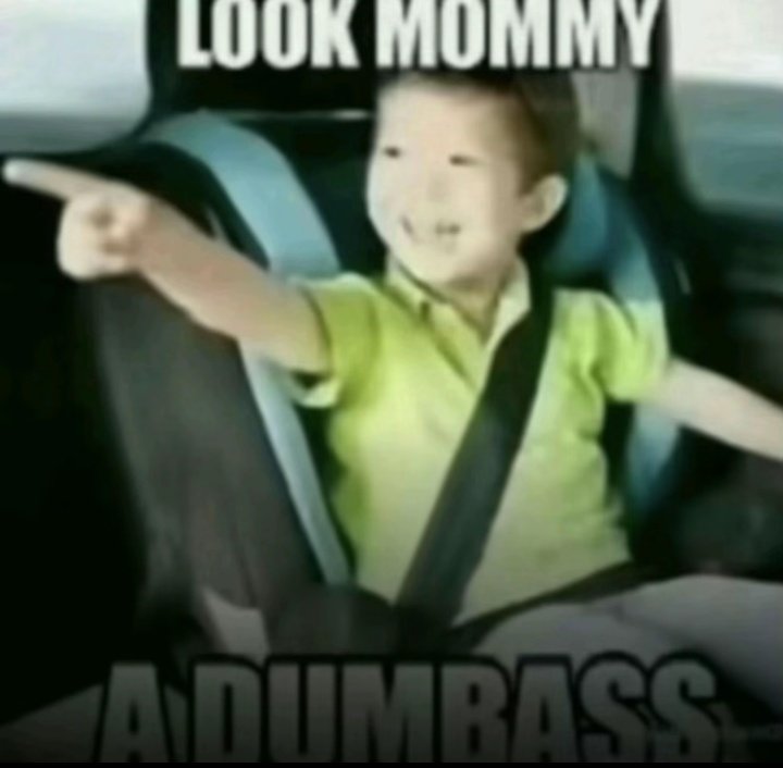 Tik Tok rore A tweet media