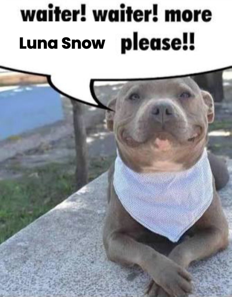 whiteman0803 tweet media