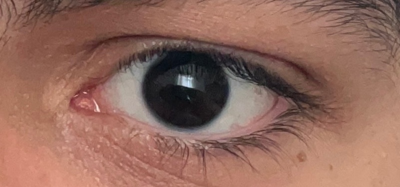 Inactive🇮🇷🇹🇷 tweet media