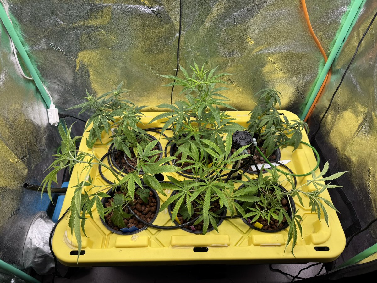 Kate Frost tweet media