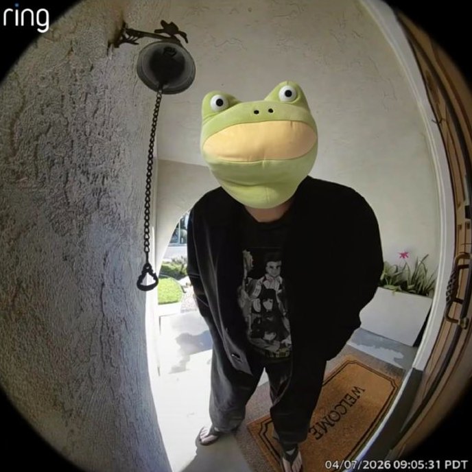 Getoutfrog_SOL's tweet photo. You see this on your ring camera, what do you do? https://t.co/afj0oanJuq