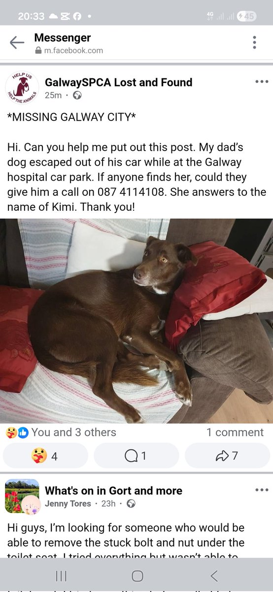 catlowry54's tweet photo. #Kimi escaped her family's car in #Galwayhospital carpark. Please share #GalwayCity https://t.co/tHwA6yB7Mu