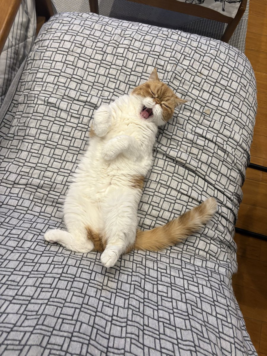 おはようござい…
(*´Oゞふぁ～