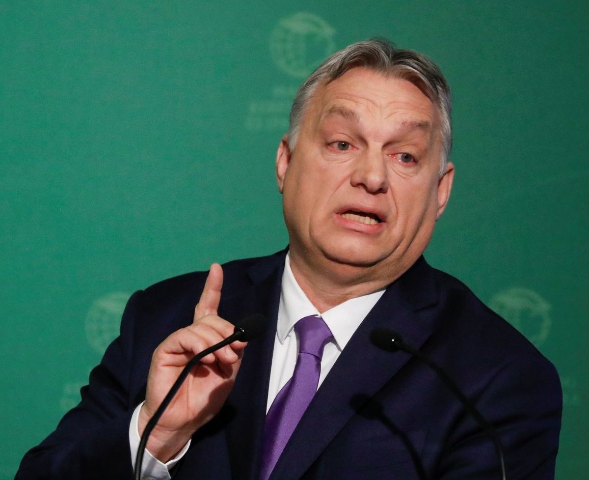 RadioGenoa tweet media