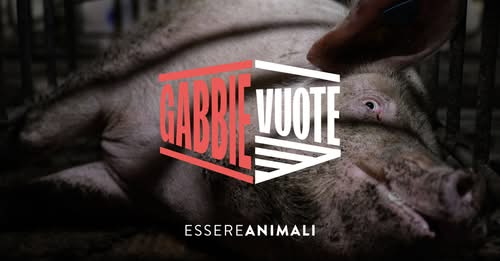 OipaTreviso's tweet photo. #essereanimali oltre al servizio #Report promuove #raccoltafirme x #legge #gabbievuote in #Parlamento, firma con #SPID👉https://t.co/tIwTxOTVpn #endthecageage #endtheslaughterage #foodforprofit #benessereanimale #govegan #vegan #signnow #endspeciesism #reportrai3 #reportraitre https://t.co/JtZaWCNLGH