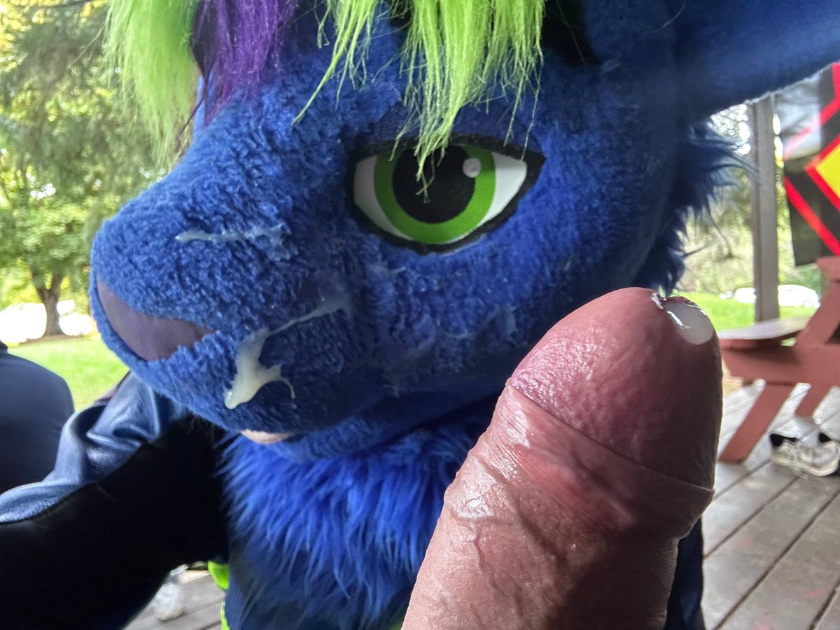 Nido Flow ๐ฐ@ TFF tweet media