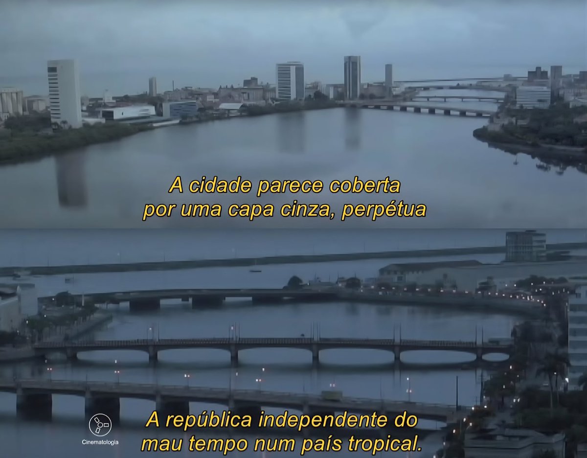 Pernambucoposting tweet media