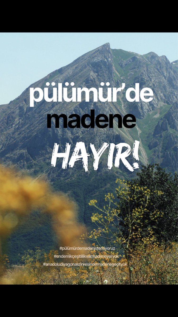 Hakkı Adıbelli @hakki-dilan tweet media