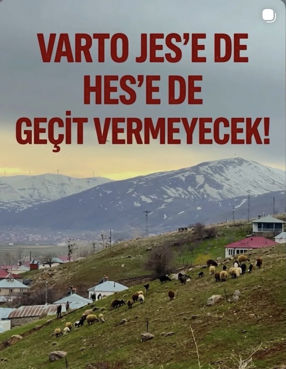 Hakkı Adıbelli @hakki-dilan tweet media