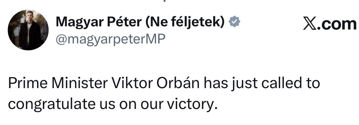 Zvonimir Despot tweet media